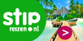 stipreizen vakanties Stedentrip Antwerpen - Lindner Hotel & City Lounge Antwerpen ****