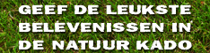 Adverteren bij Daisycon