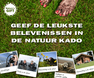 Adverteren bij Daisycon