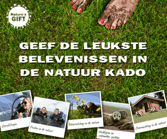 Adverteren bij Daisycon