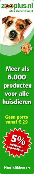 Adverteren bij Daisycon