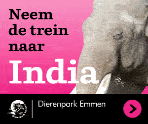 Dierentuin Emmen plus treinkaartje