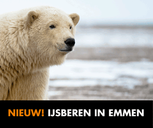 Dierenpark Emmen