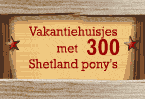 Adverteren bij Daisycon