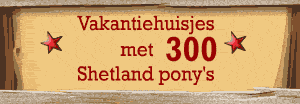Adverteren bij Daisycon