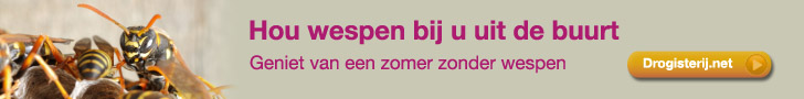 Adverteren bij Daisycon