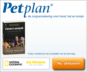  Waardig afscheid