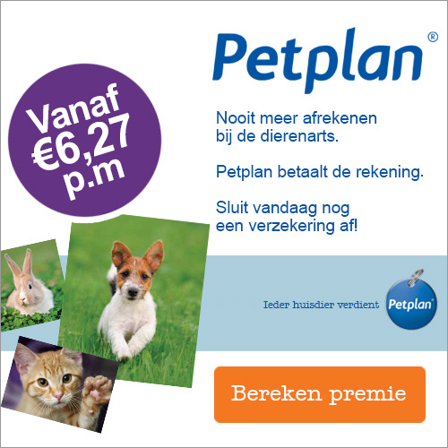  Afscheid van uw lievelingsdier