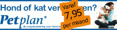 Adverteren bij Daisycon