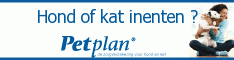 Adverteren bij Daisycon