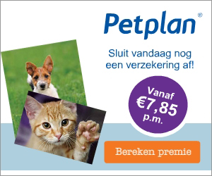 Petplan